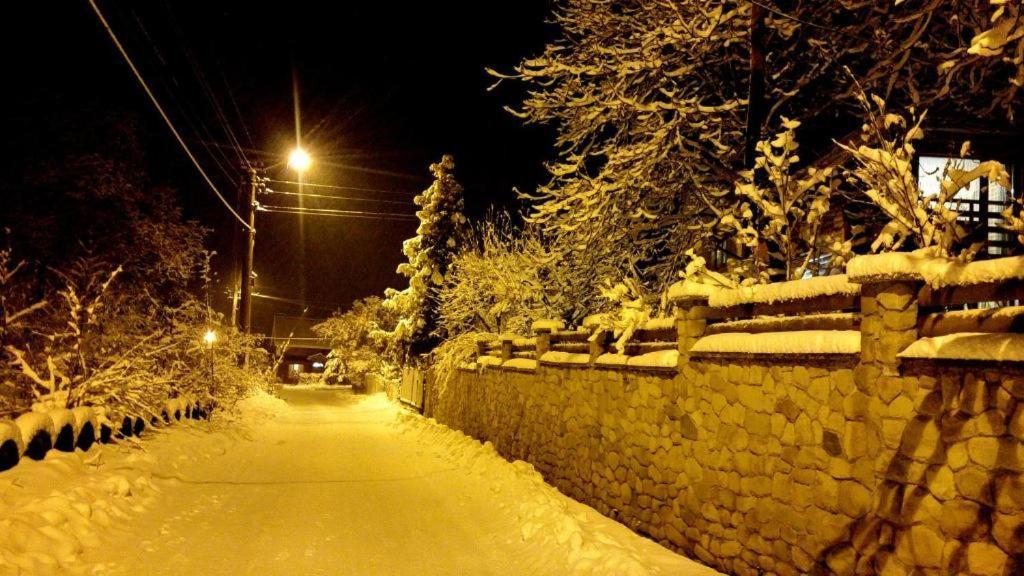 Cottage house Yaremche Dış mekan fotoğraf